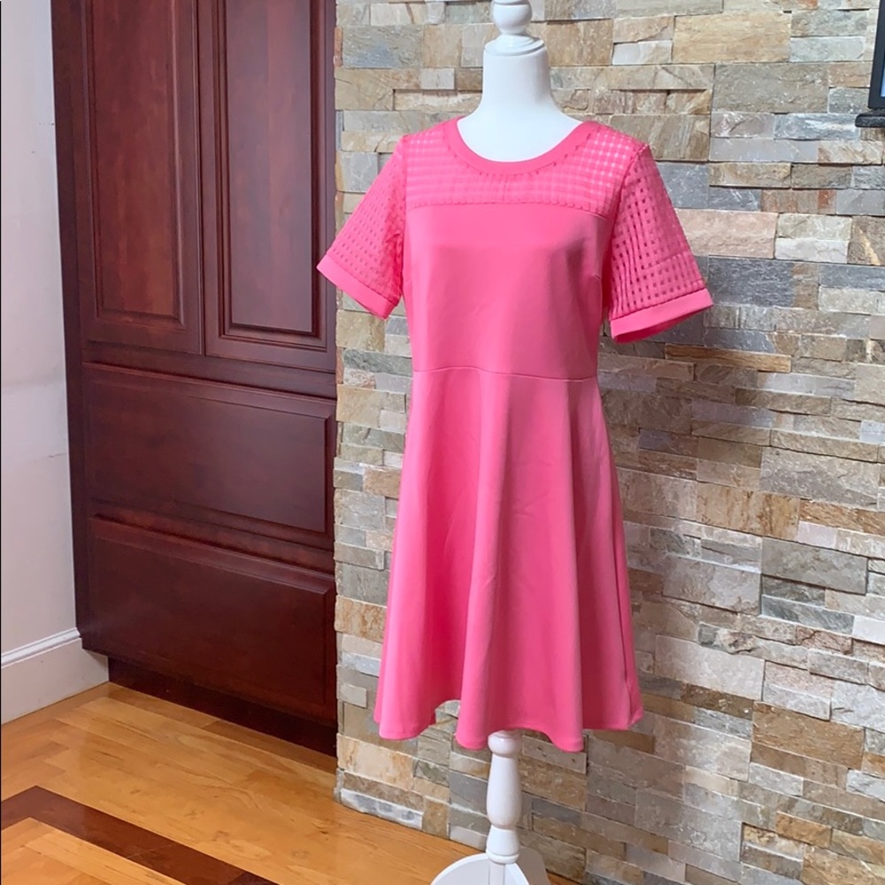 Brand new pink dress from NY&co